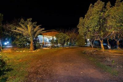 لیکیا یانارتاس بانگالوز