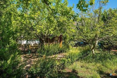 لیکیا یانارتاس بانگالوز