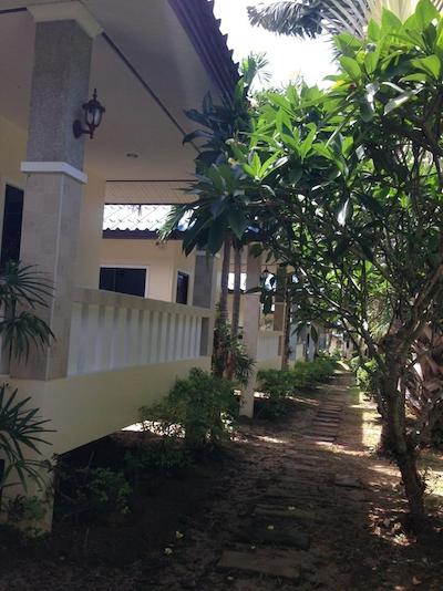 نایا بانگالو