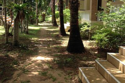 نایا بانگالو