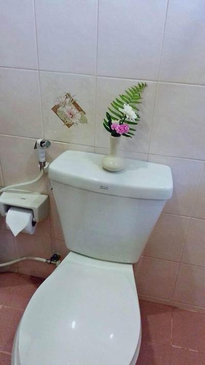 نایا بانگالو