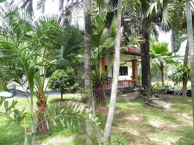 نایا بانگالو