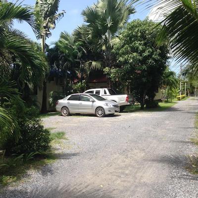 نایا بانگالو