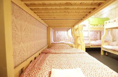 تایگر لیلی هاستل