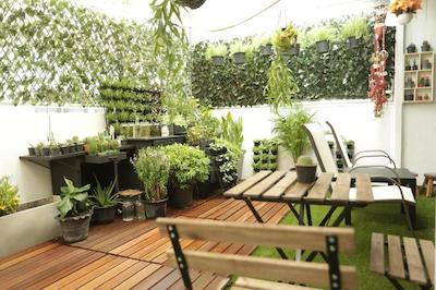 تایگر لیلی هاستل