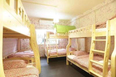 تایگر لیلی هاستل