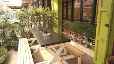 تایگر لیلی هاستل