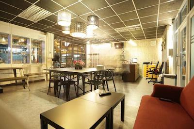 تایگر لیلی هاستل