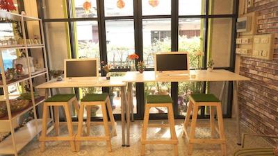 تایگر لیلی هاستل