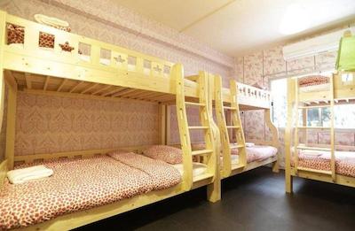 تایگر لیلی هاستل