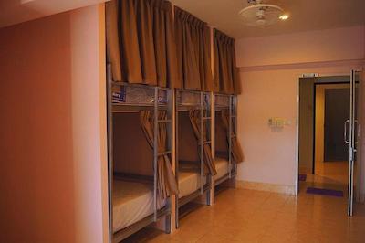 د لاکی کاتا هاستل