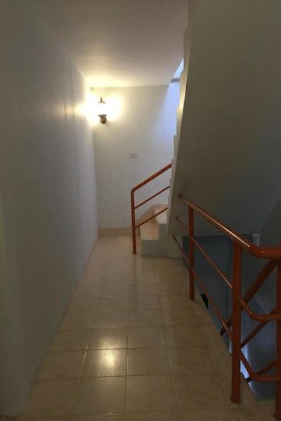 د لاکی کاتا هاستل