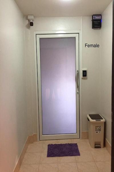 د لاکی کاتا هاستل