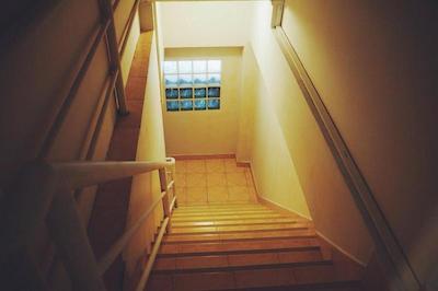 د لاکی کاتا هاستل