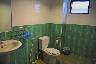 د لاکی کاتا هاستل