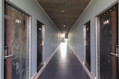 پتکیندی کینگدام