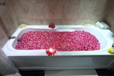 هتل کریشنا دلوکس