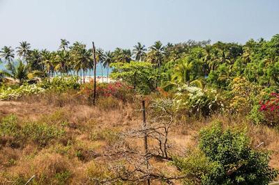 پرایا دا اورا بوتیک ریزورت