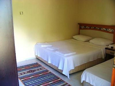 آریا هالیدی هاوسز