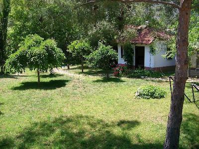 آریا هالیدی هاوسز