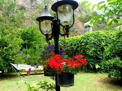 آریا هالیدی هاوسز