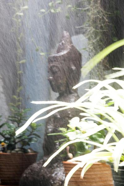 تیگدر هاستل