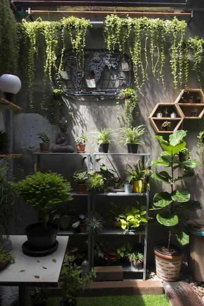 تیگدر هاستل