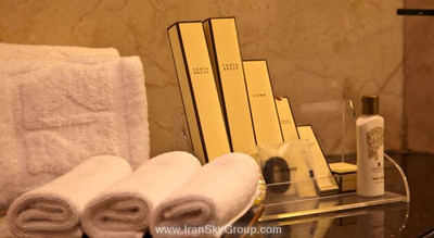 شانگری-لاس اروس هتل نیو دهلی
