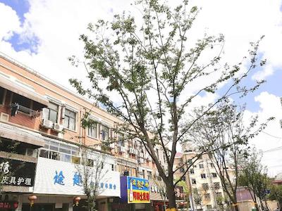 توکو اینترنشنال یات هاستل