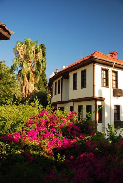 د جا وو اسپشال کلاس