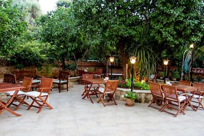 د جا وو اسپشال کلاس