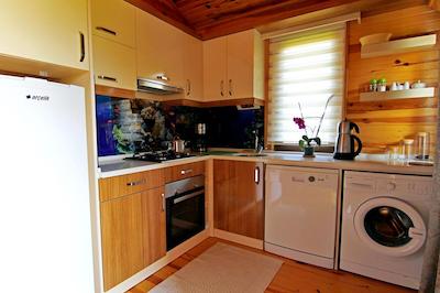 رویا ویلن پارک