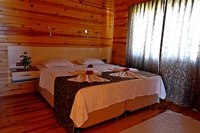 رویا ویلن پارک