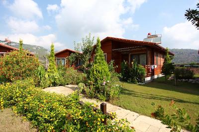 رویا ویلن پارک