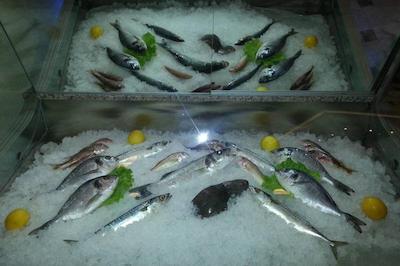 اوتل سامیل اند رستوران