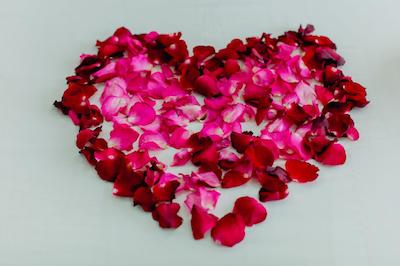 آر کی گست هاوس