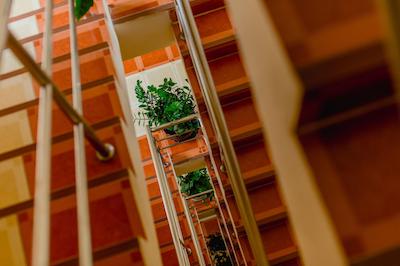 آر کی گست هاوس