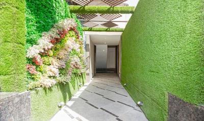 تریبو ترند اویستر سوییت