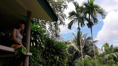 آئونانگ کلیف ماونتن نیو ریسورت