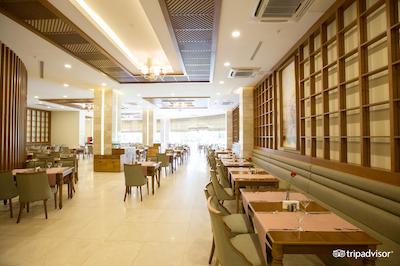 شروود اکسکلوسیو لارا