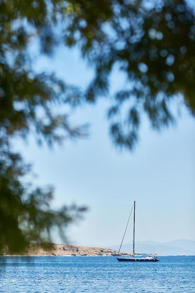 دافینیس هتل