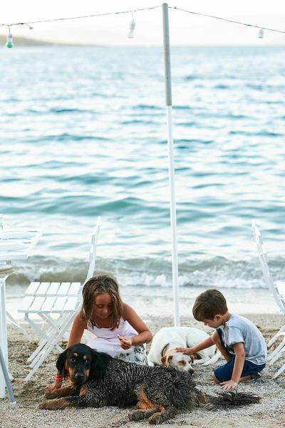 دافینیس هتل