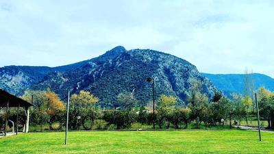 باهاوس ریسورت