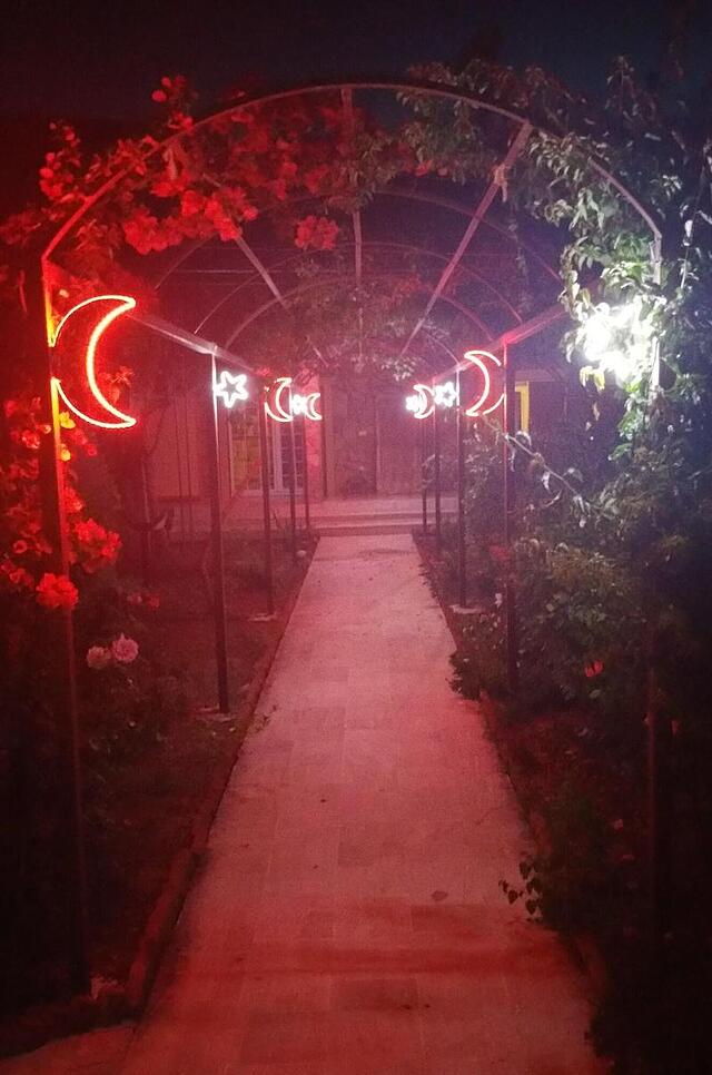 باهاوس ریسورت