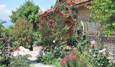 باهاوس ریسورت