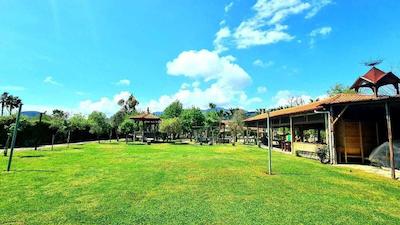 باهاوس ریسورت