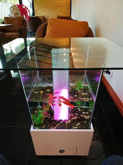 د امپریال هوم هتل