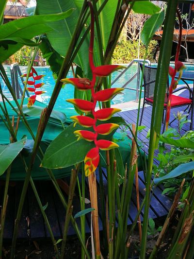 د امپریال هوم هتل