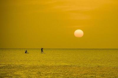 سرف بلو کاتا