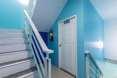 سرف بلو کاتا